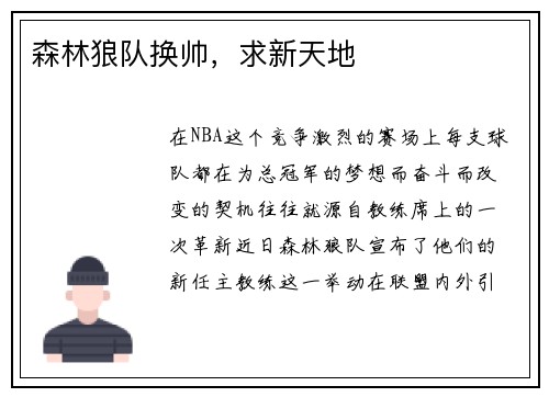 森林狼队换帅，求新天地