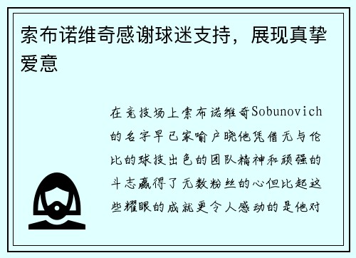 索布诺维奇感谢球迷支持，展现真挚爱意